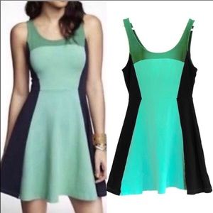Express Green & Navy Blue Color block Skater Dress